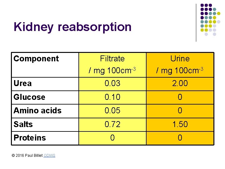 Kidney reabsorption Component Filtrate / mg 100 cm-3 Urine / mg 100 cm-3 Urea Kidney reabsorption Component Filtrate / mg 100 cm-3 Urine / mg 100 cm-3 Urea