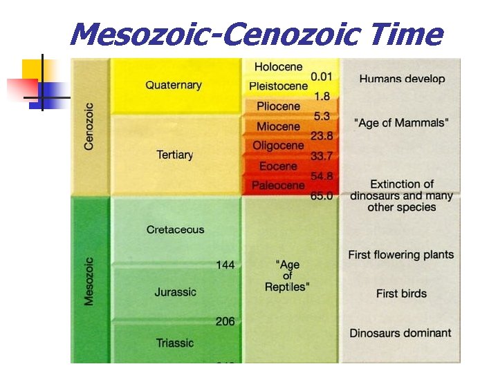 Mesozoic-Cenozoic Time 