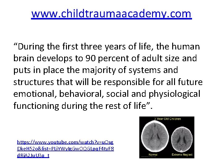 www. childtraumaacademy. com “During the first three years of life, the human brain develops