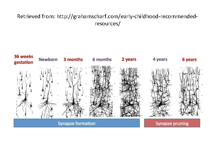 Retrieved from: http: //grahamscharf. com/early-childhood-recommendedresources/ 