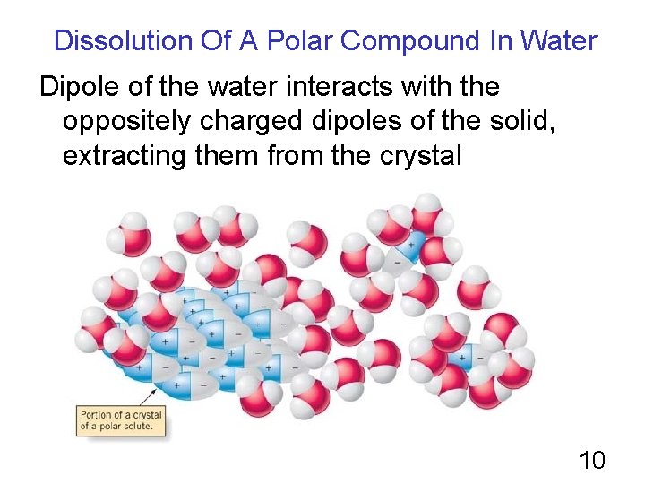 Dissolution Of A Polar Compound In Water Dipole of the water interacts with the