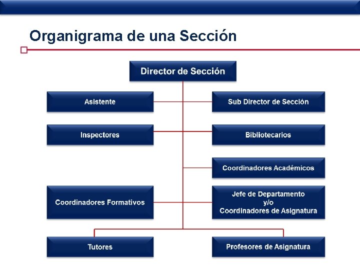 Organigrama de una Sección 