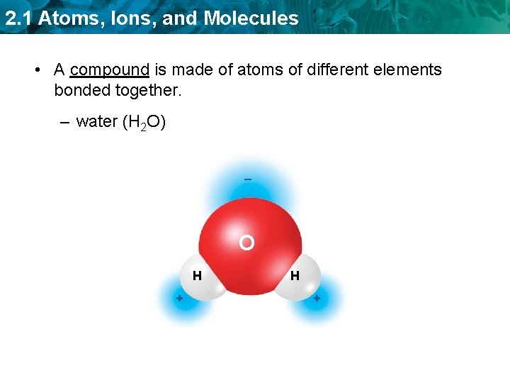 2. 1 Atoms, Ions, and Molecules • A compound is made of atoms of
