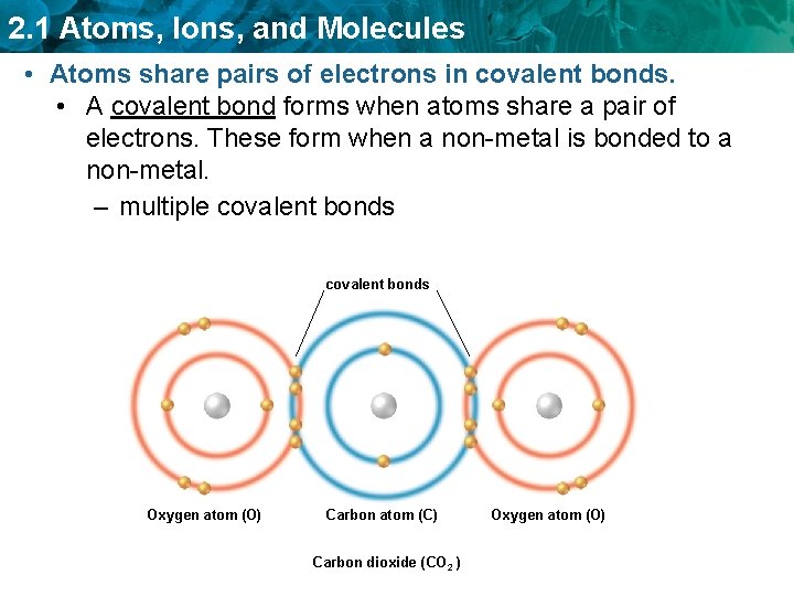 2. 1 Atoms, Ions, and Molecules • Atoms share pairs of electrons in covalent