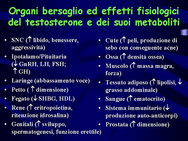 Organi bersaglio ed effetti fisiologici del testosterone e dei suoi metaboliti • SNC (