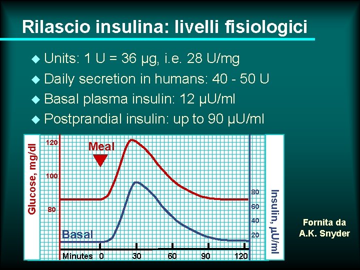 Rilascio insulina: livelli fisiologici u Units: 1 U = 36 µg, i. e. 28