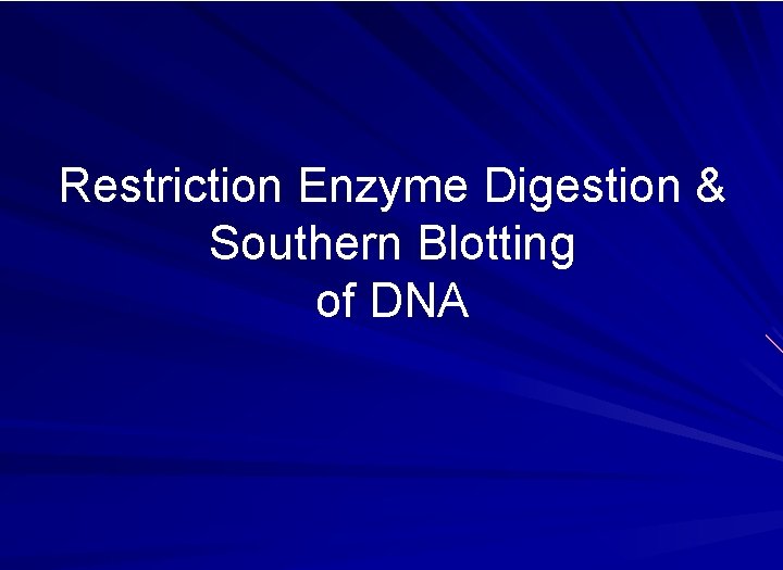 Restriction Enzyme Digestion & Southern Blotting of DNA 