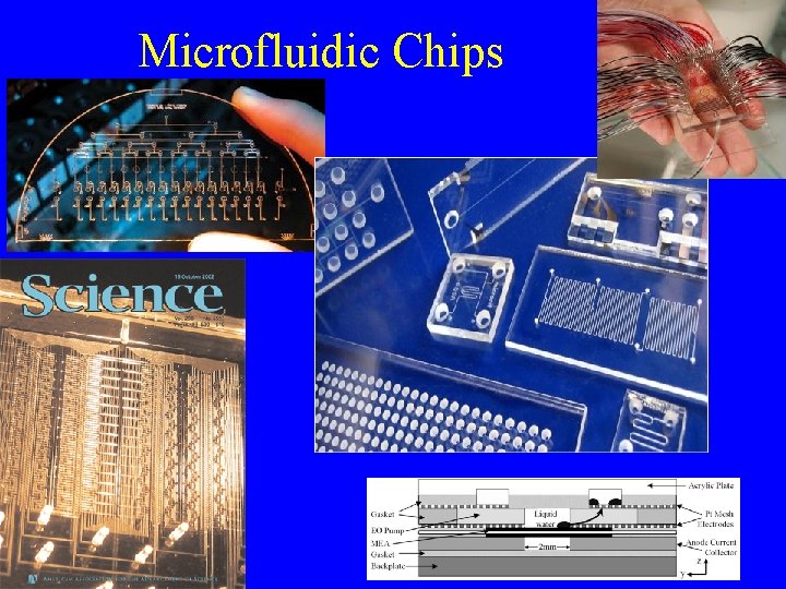 Microfluidic Chips 