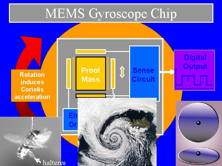 MEMS Gyroscope Chip Rotation induces Coriolis acceleration Proof Mass Sense Circuit Electrostatic Drive Circuit