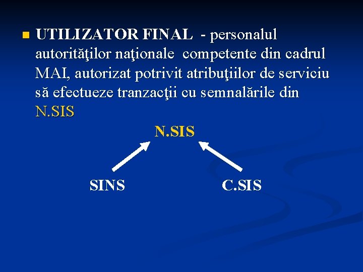 n UTILIZATOR FINAL - personalul autorităţilor naţionale competente din cadrul MAI, autorizat potrivit atribuţiilor