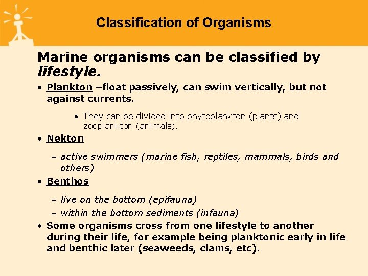 Classification of Organisms Marine organisms can be classified by lifestyle. • Plankton –float passively,