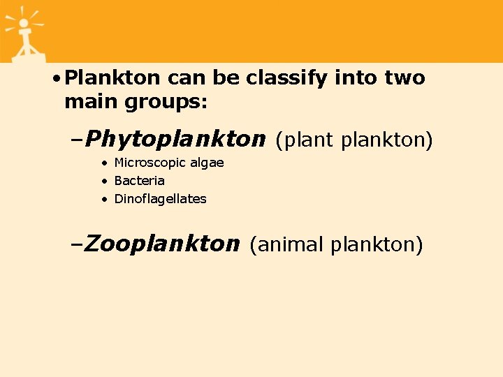 • Plankton can be classify into two main groups: –Phytoplankton (plant plankton) •