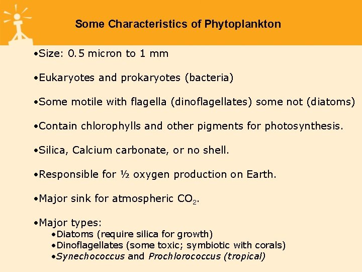 Some Characteristics of Phytoplankton • Size: 0. 5 micron to 1 mm • Eukaryotes