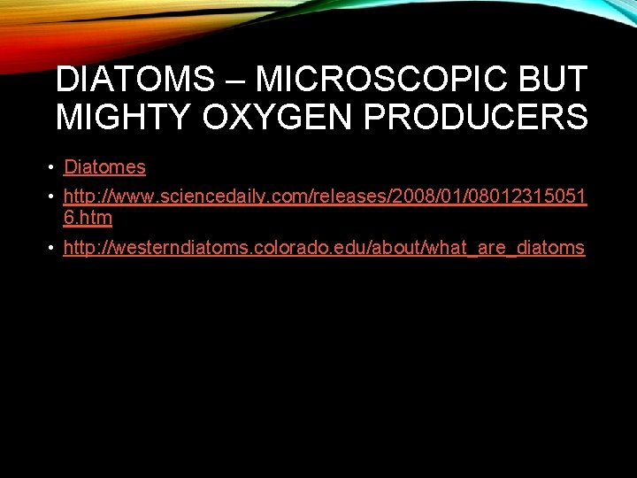 DIATOMS – MICROSCOPIC BUT MIGHTY OXYGEN PRODUCERS • Diatomes • http: //www. sciencedaily. com/releases/2008/01/08012315051