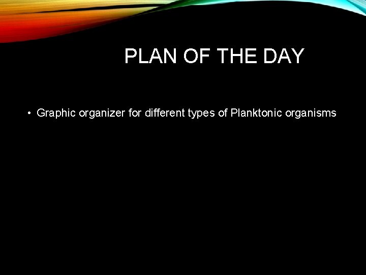 PLAN OF THE DAY • Graphic organizer for different types of Planktonic organisms 