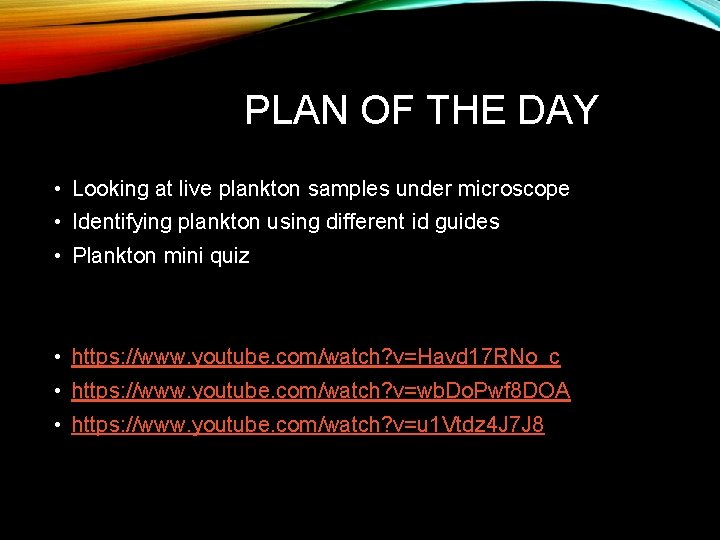 PLAN OF THE DAY • Looking at live plankton samples under microscope • Identifying