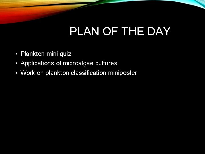 PLAN OF THE DAY • Plankton mini quiz • Applications of microalgae cultures •