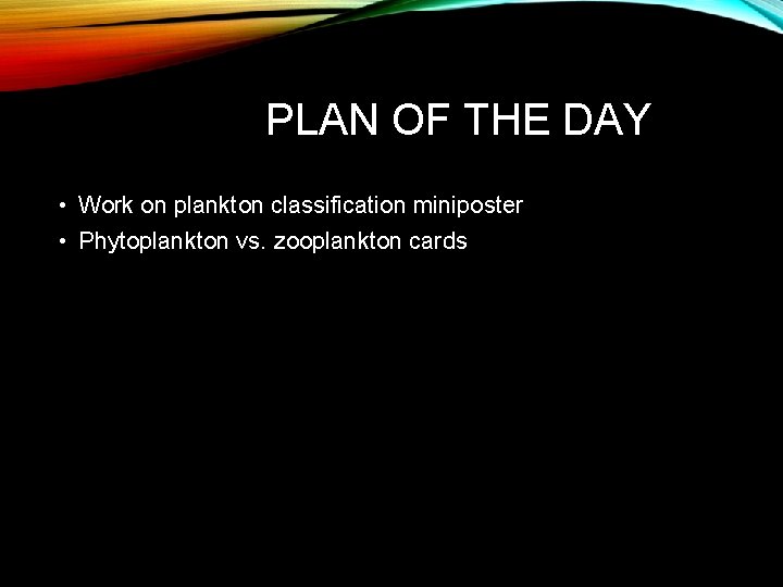 PLAN OF THE DAY • Work on plankton classification miniposter • Phytoplankton vs. zooplankton