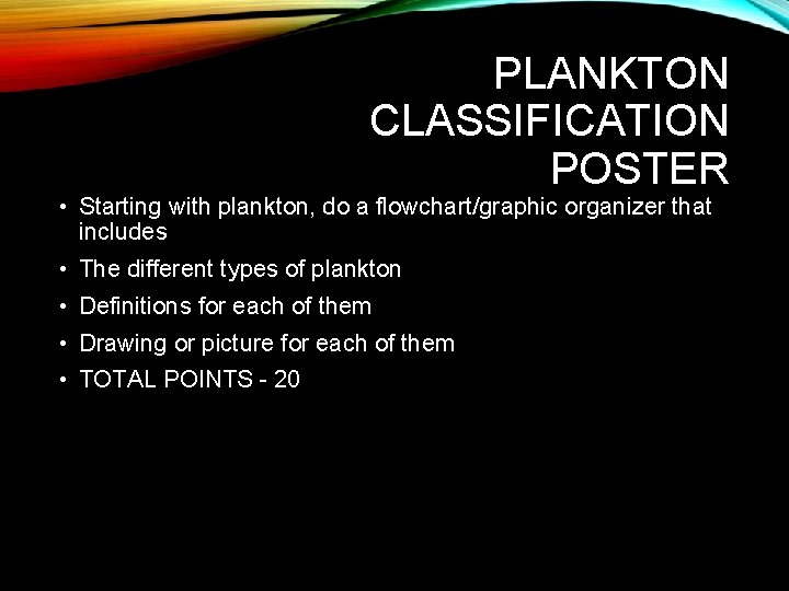 PLANKTON CLASSIFICATION POSTER • Starting with plankton, do a flowchart/graphic organizer that includes •