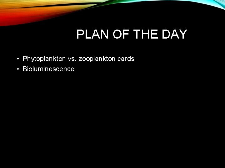 PLAN OF THE DAY • Phytoplankton vs. zooplankton cards • Bioluminescence 