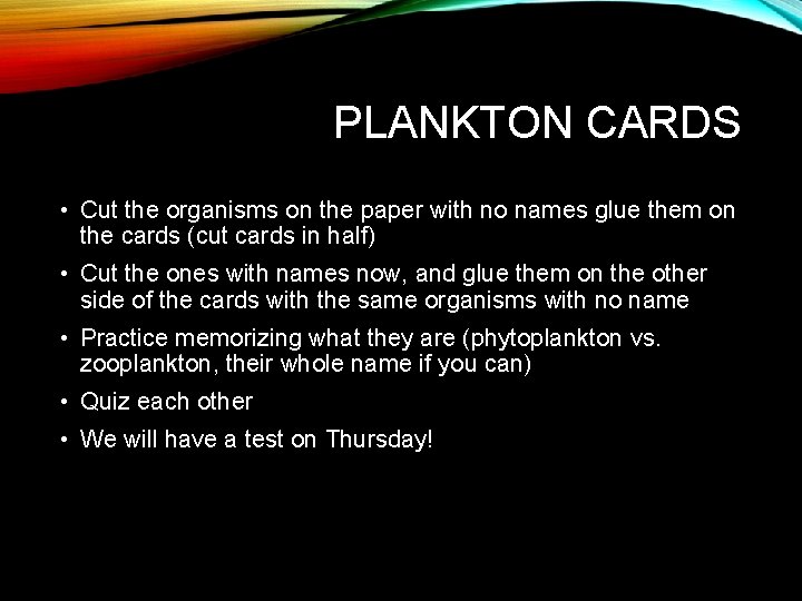 PLANKTON CARDS • Cut the organisms on the paper with no names glue them