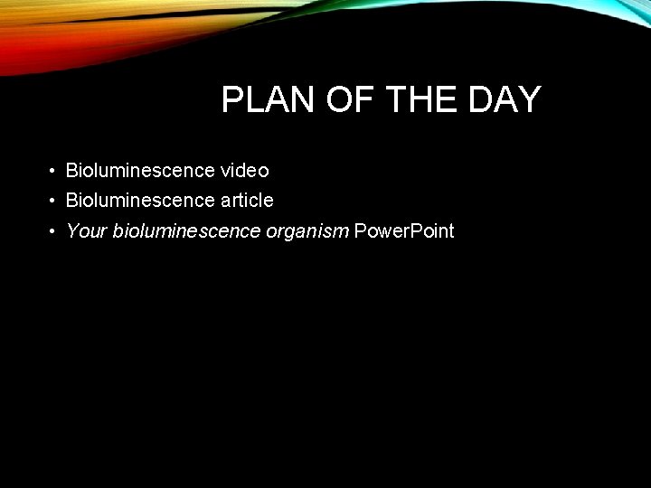 PLAN OF THE DAY • Bioluminescence video • Bioluminescence article • Your bioluminescence organism