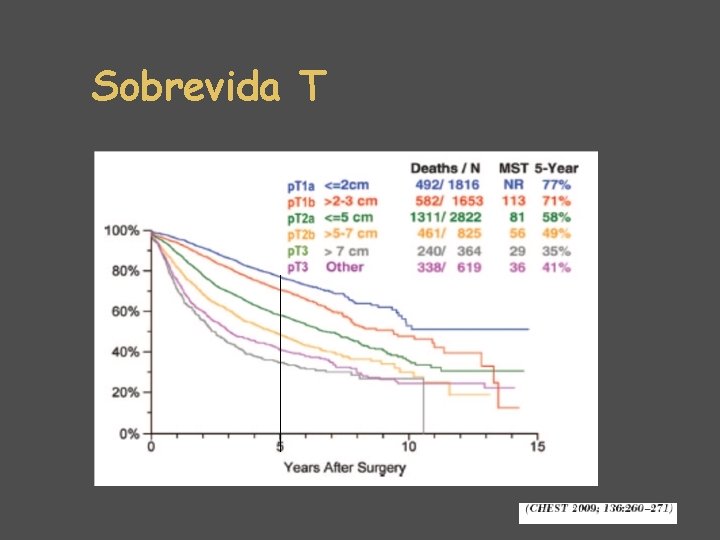 Sobrevida T 