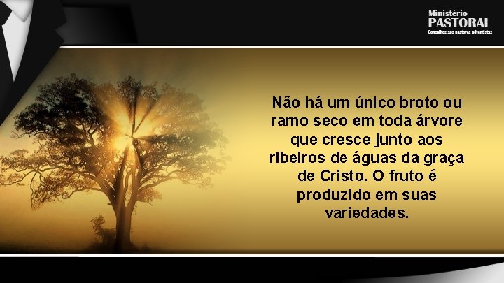 Não há um único broto ou ramo seco em toda árvore que cresce junto