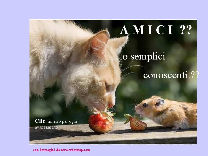 A M I C I ? ? …. o semplici conoscenti. ? ? Clic