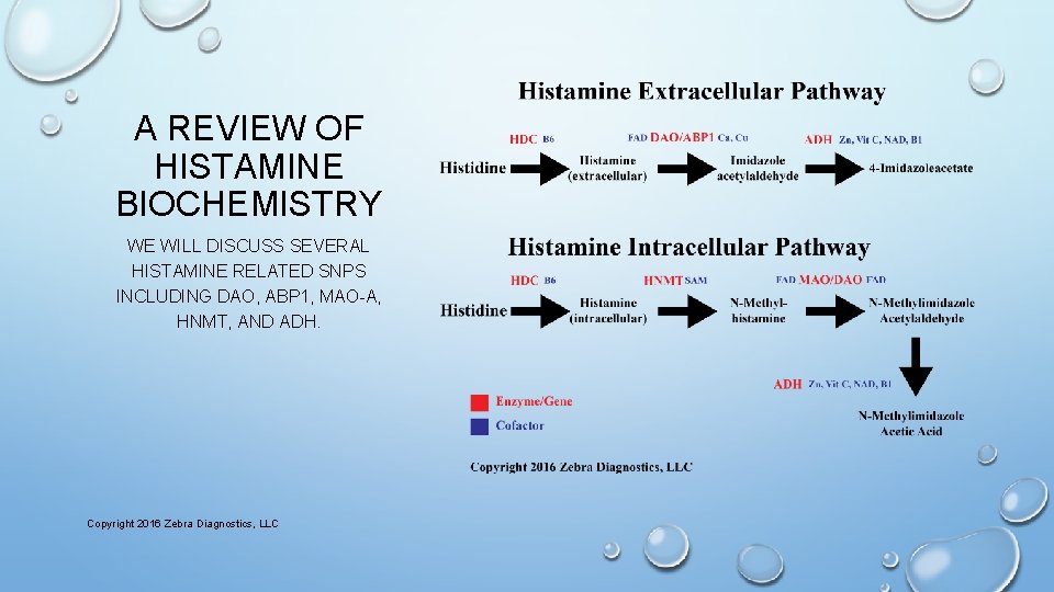 A REVIEW OF HISTAMINE BIOCHEMISTRY WE WILL DISCUSS SEVERAL HISTAMINE RELATED SNPS INCLUDING DAO,