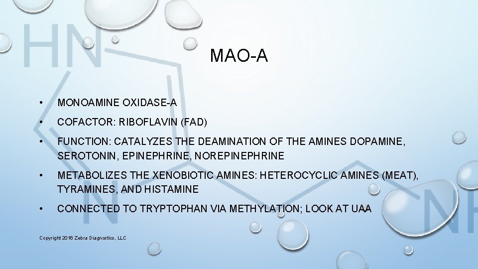 MAO-A • MONOAMINE OXIDASE-A • COFACTOR: RIBOFLAVIN (FAD) • FUNCTION: CATALYZES THE DEAMINATION OF