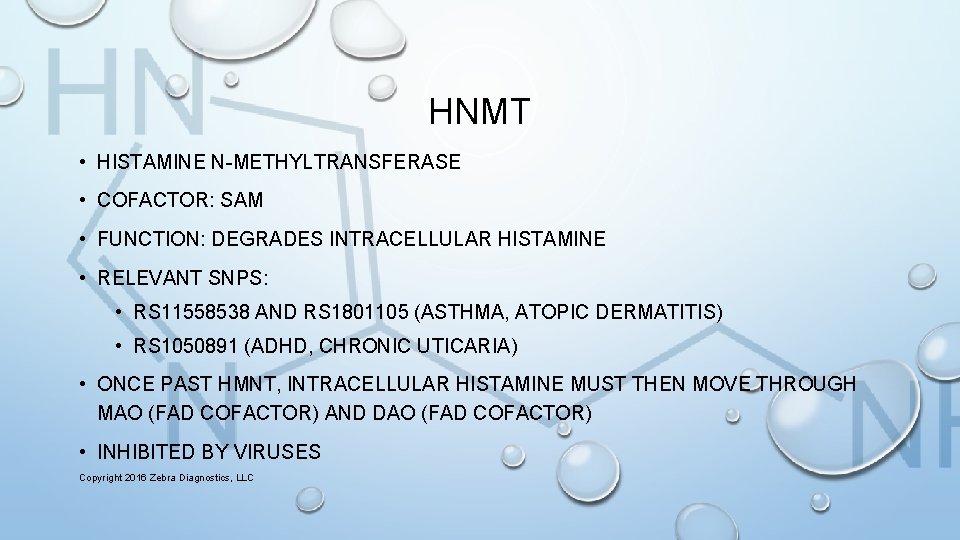 HNMT • HISTAMINE N-METHYLTRANSFERASE • COFACTOR: SAM • FUNCTION: DEGRADES INTRACELLULAR HISTAMINE • RELEVANT