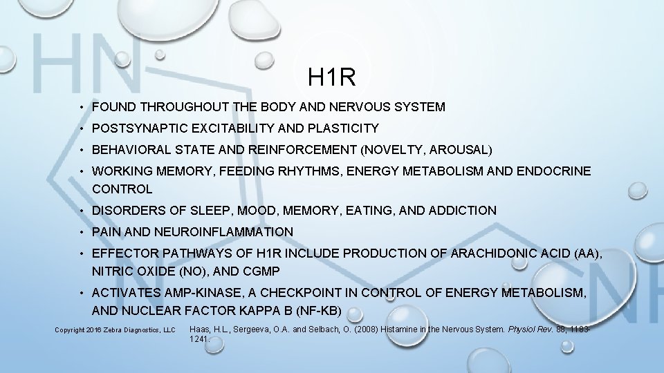 H 1 R • FOUND THROUGHOUT THE BODY AND NERVOUS SYSTEM • POSTSYNAPTIC EXCITABILITY