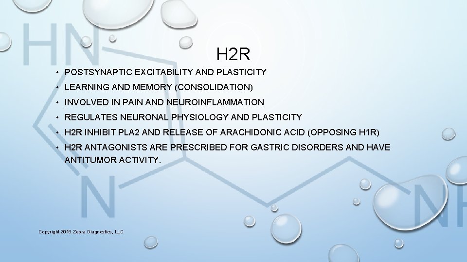 H 2 R • POSTSYNAPTIC EXCITABILITY AND PLASTICITY • LEARNING AND MEMORY (CONSOLIDATION) •