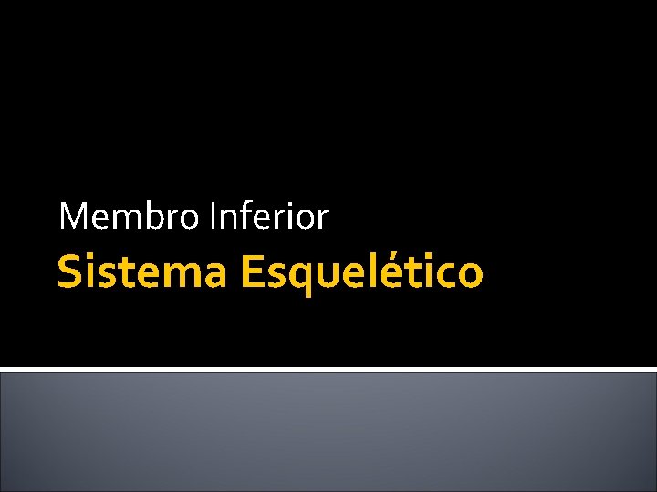 Membro Inferior Sistema Esquelético 