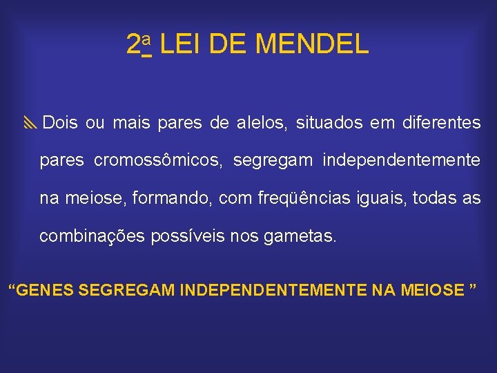2 a LEI DE MENDEL y. Dois ou mais pares de alelos, situados em