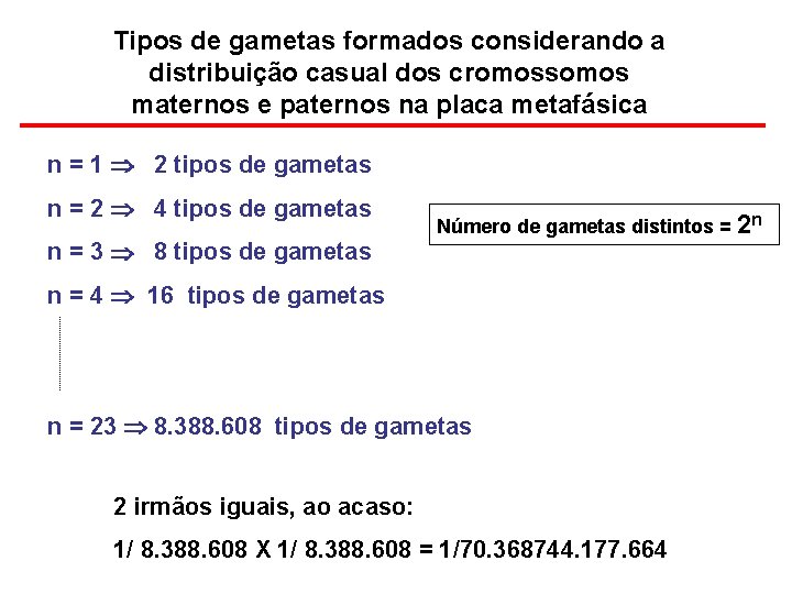 Tipos de gametas formados considerando a distribuição casual dos cromossomos maternos e paternos na