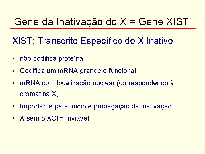 Gene da Inativação do X = Gene XIST: Transcrito Específico do X Inativo •