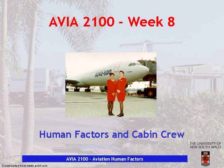 AVIA 2100 - Week 8 Human Factors and Cabin Crew Downloaded from www. avhf.