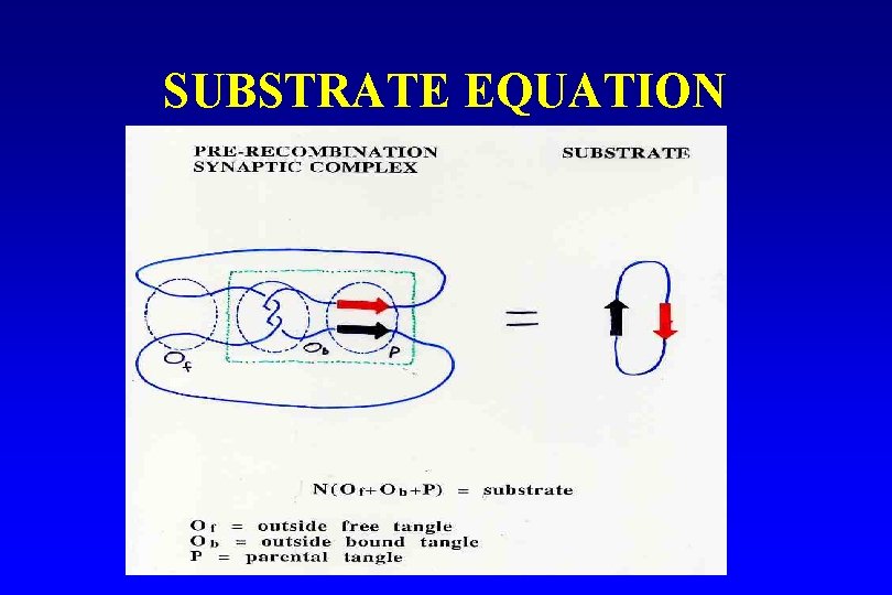 SUBSTRATE EQUATION 