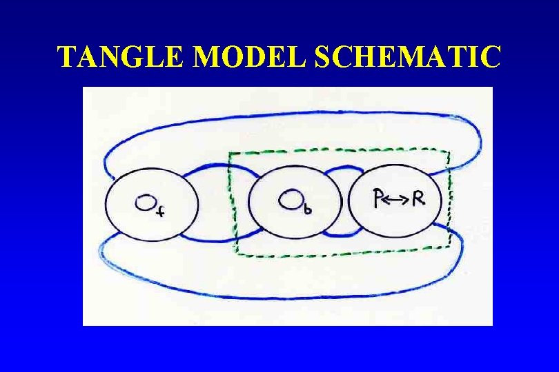 TANGLE MODEL SCHEMATIC 