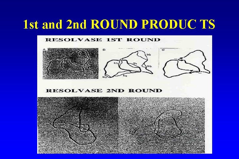 1 st and 2 nd ROUND PRODUC TS 