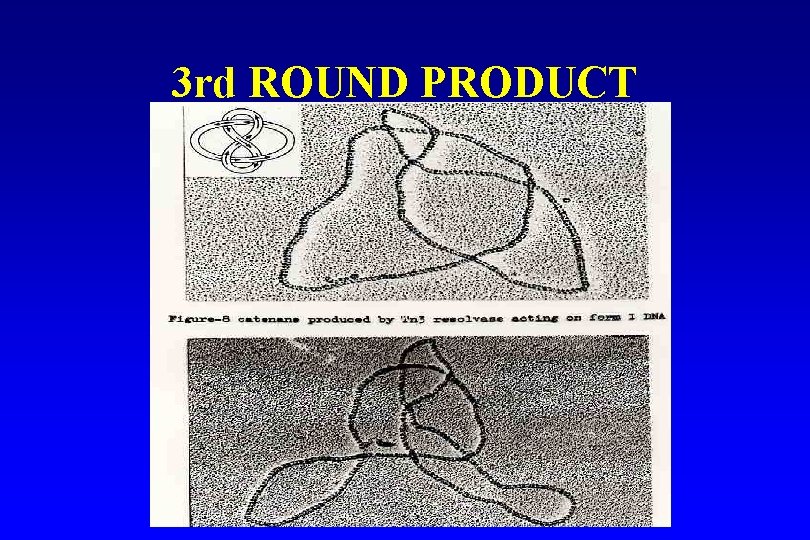 3 rd ROUND PRODUCT 