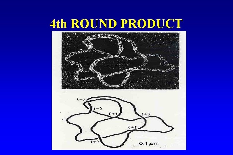 4 th ROUND PRODUCT 