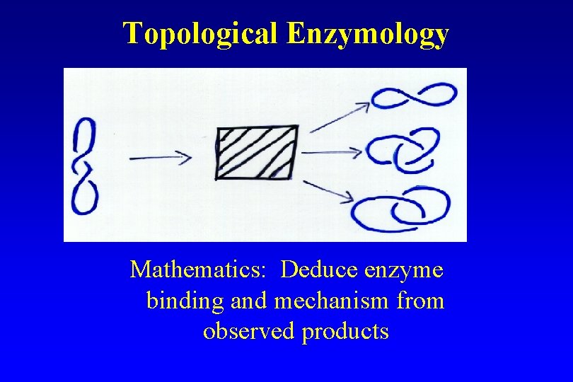 Topological Enzymology Mathematics: Deduce enzyme binding and mechanism from observed products 