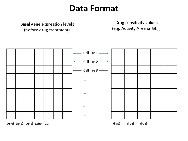 Data Format Drug sensitivity values (e. g. Activity Area or GI 50) Basal gene