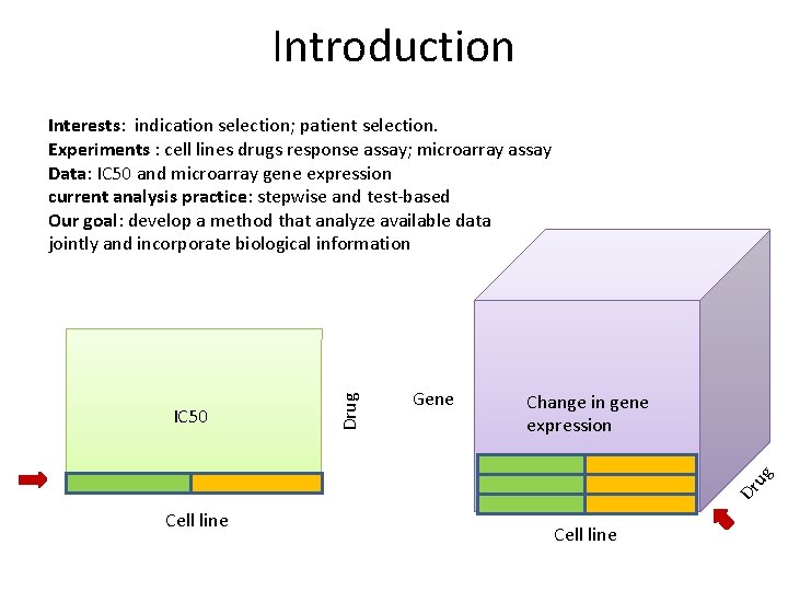 Introduction Gene Change in gene expression Dr ug IC 50 Drug Interests: indication selection;