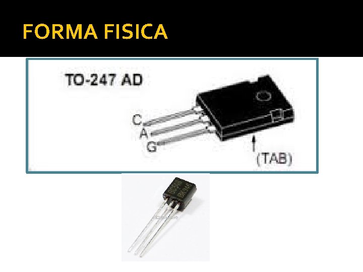 FORMA FISICA FORMA FISICA