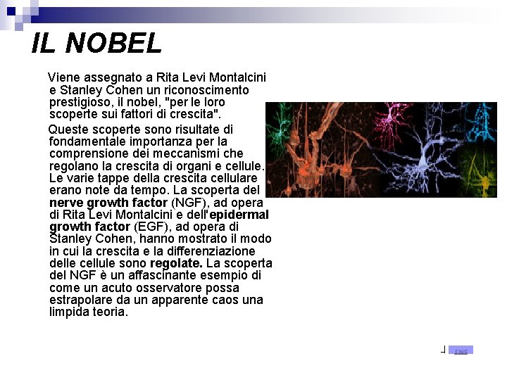 IL NOBEL Viene assegnato a Rita Levi Montalcini e Stanley Cohen un riconoscimento prestigioso,