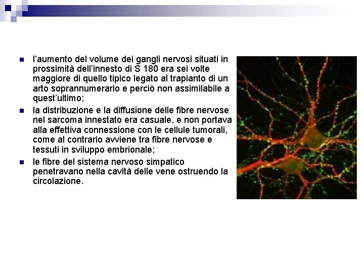 n n n l’aumento del volume dei gangli nervosi situati in prossimità dell’innesto di